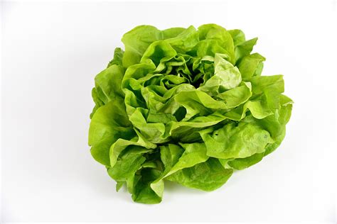 photo de salade verte